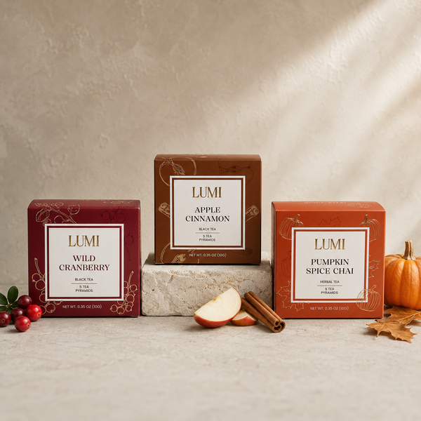 Pumpkin Spice Chai Herbal Tea - 5 Premium Tea Bags